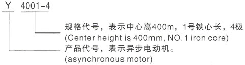 西安泰富西玛Y系列(H355-1000)高压YRKK3553-4/200KW 三相异步电机型号说明