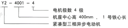 YR系列(H355-1000)高压YRKK3553-4/200KW 三相异步电机西安西玛电机型号说明